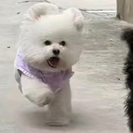 意大利香肠和蘑菇～