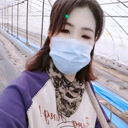 燕子姐姐