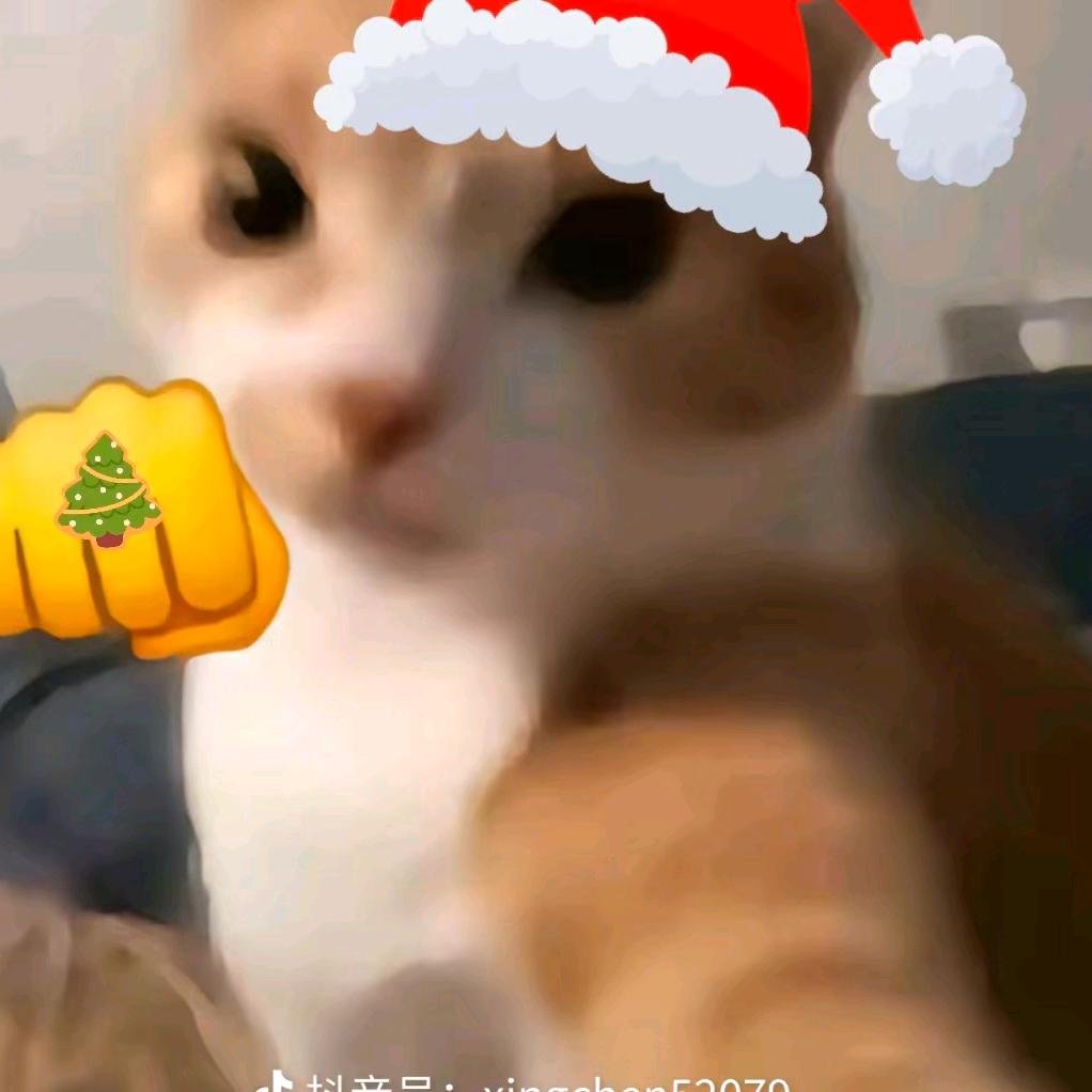 ⁺✞ʚ吃饭重度依赖ɞ✟₊