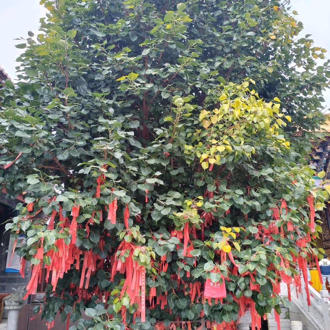 一方净土