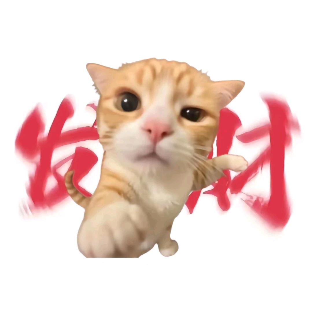啧啧啧....