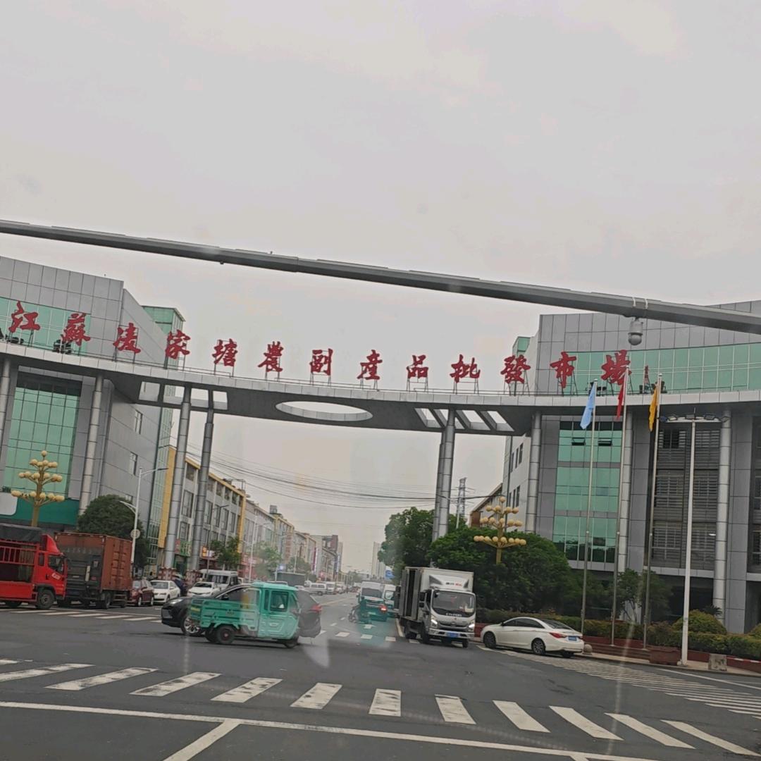 凌家塘青蛙流通分拣中心（黑斑蛙收购兼批发