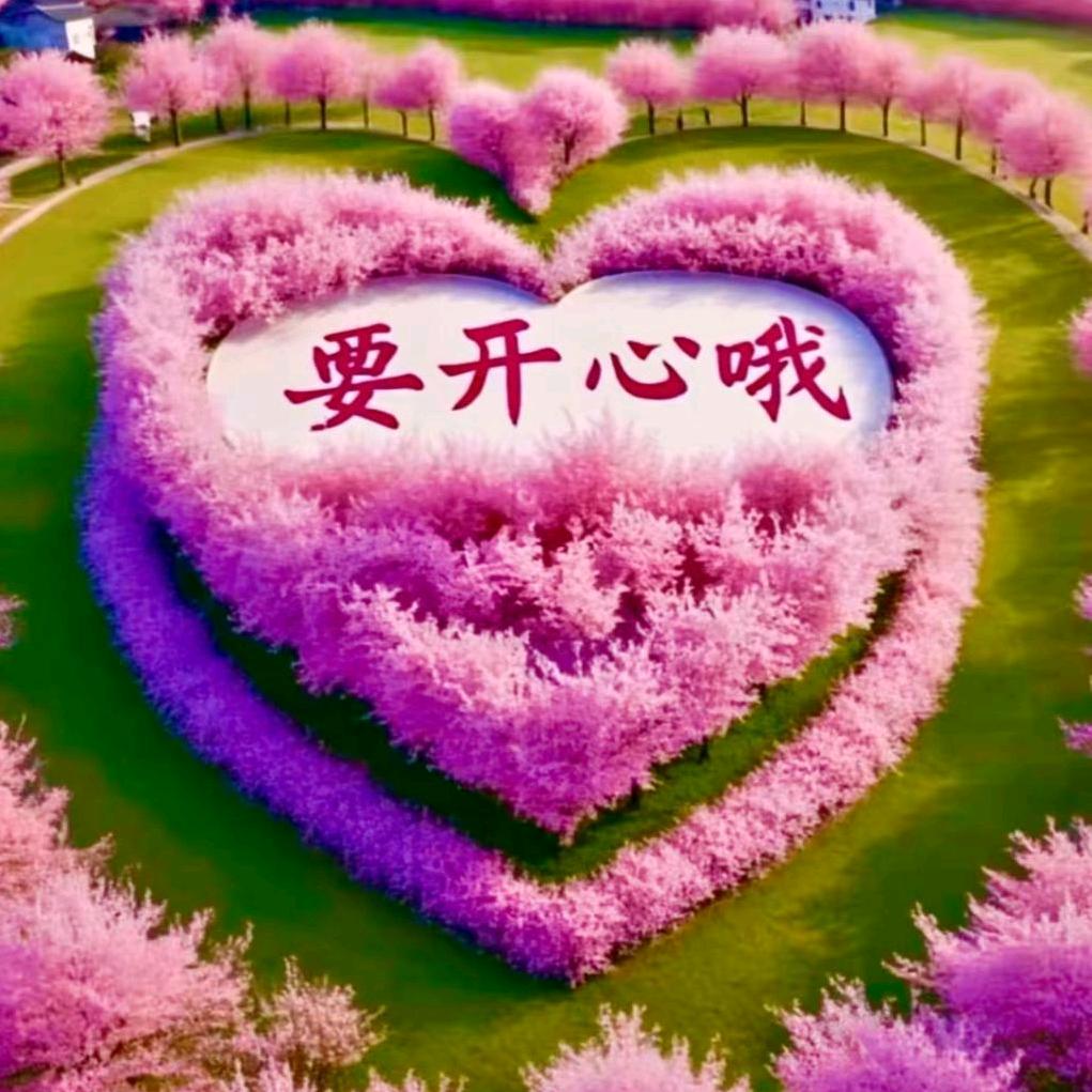 🐝随遇而安🦋