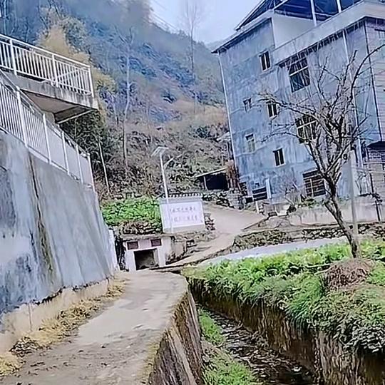 久久啦心