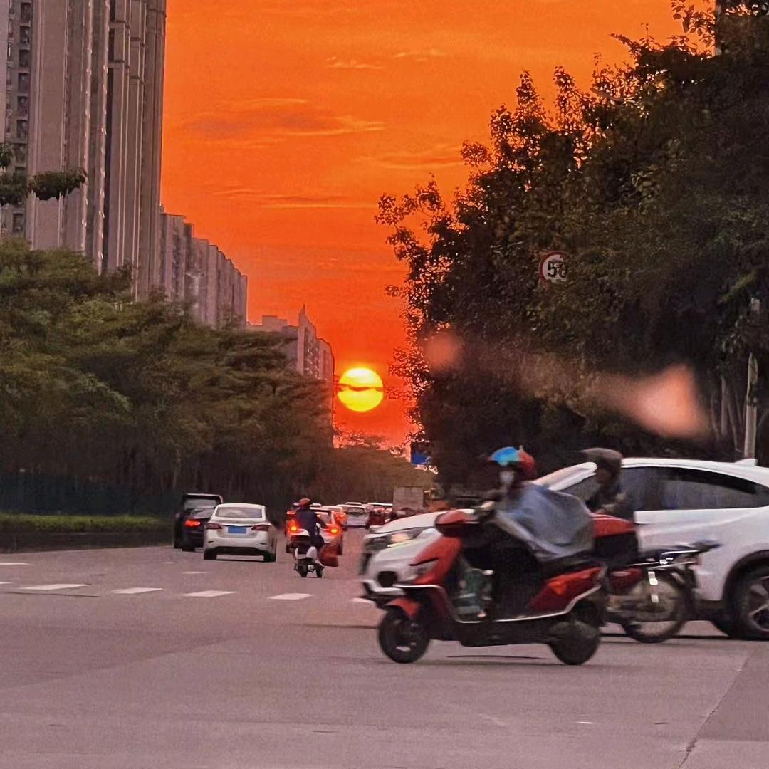 晓生
