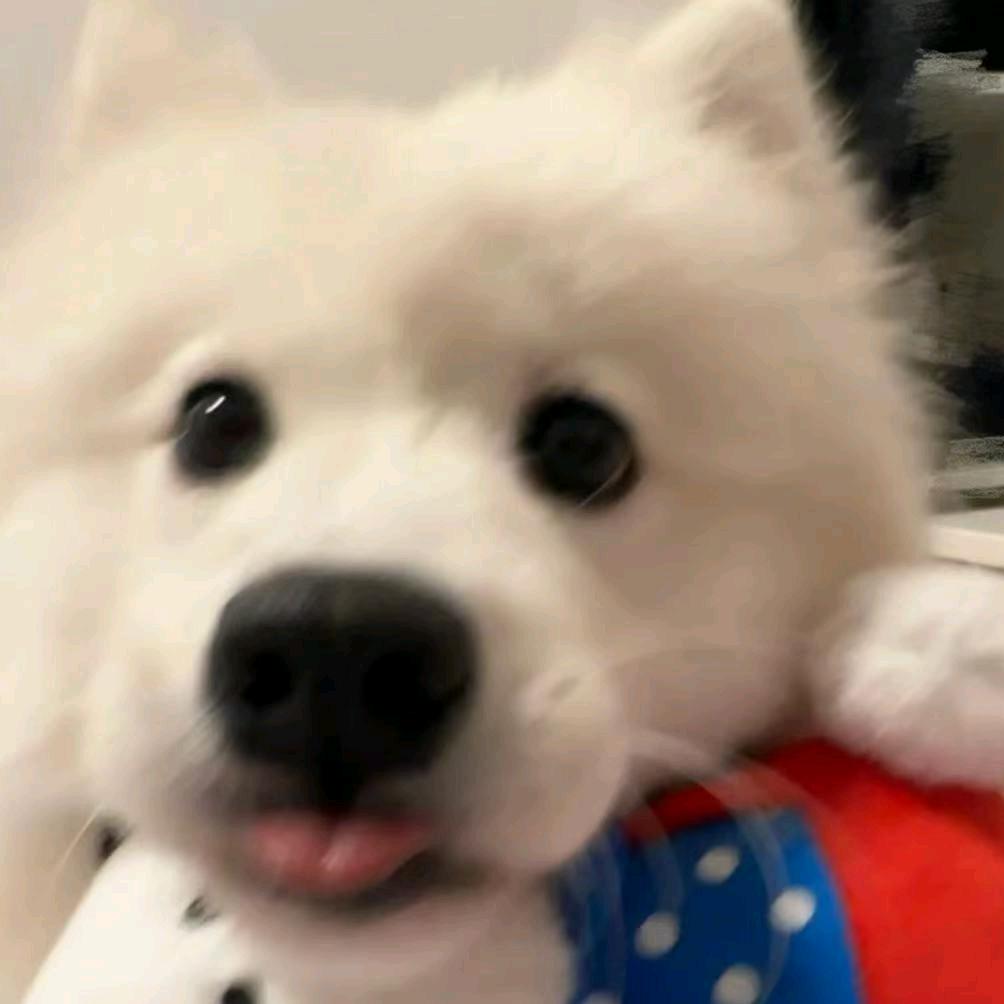加一一一