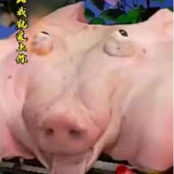 肥婆多少钱一斤