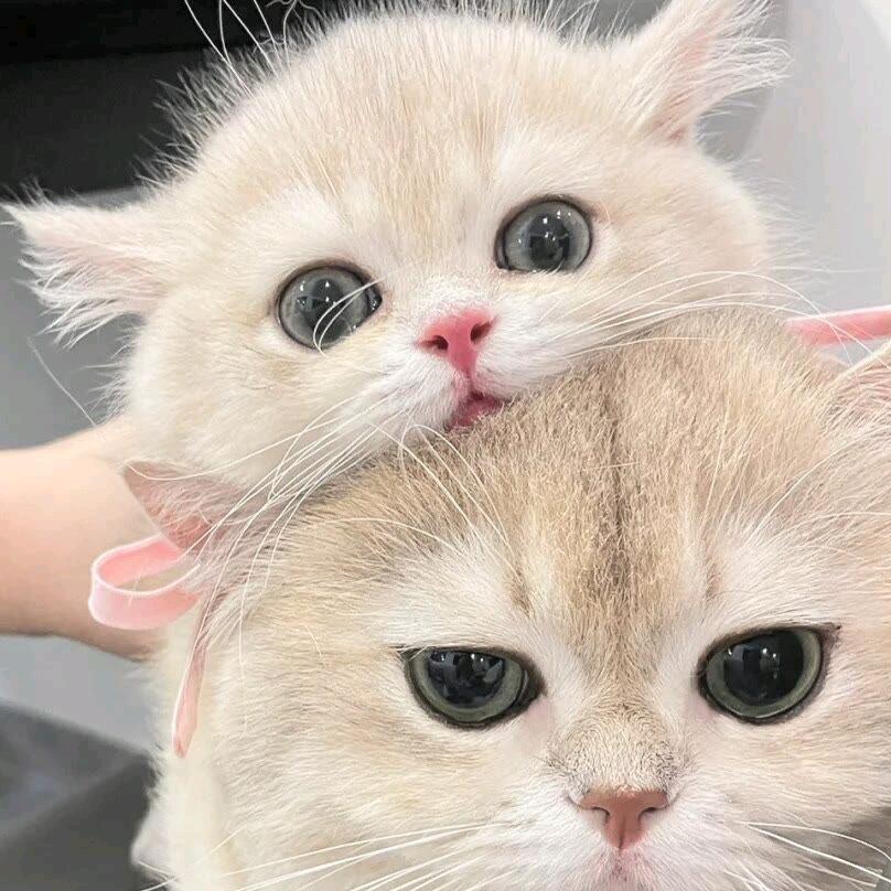 不发脾气只发财(*'ε`*)