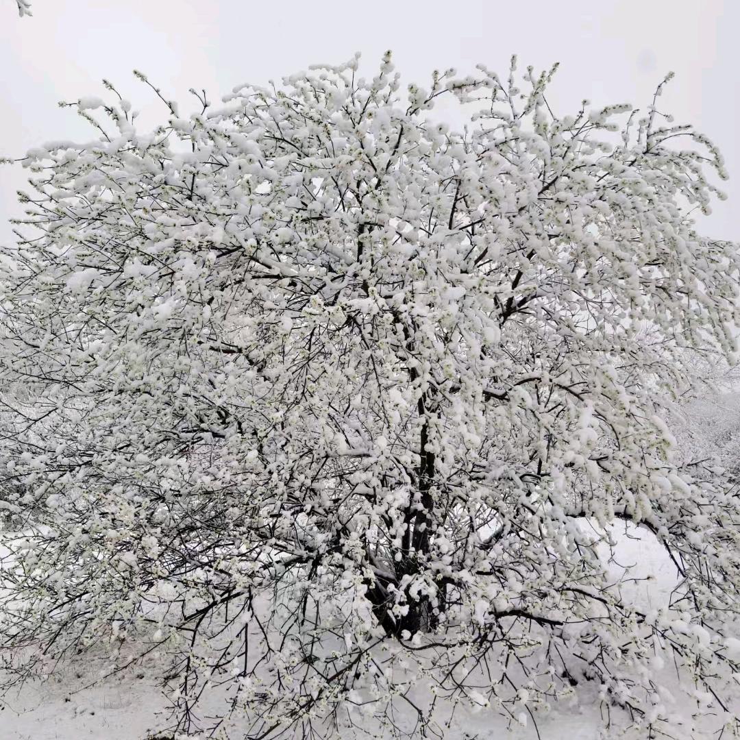 陪我过个冬