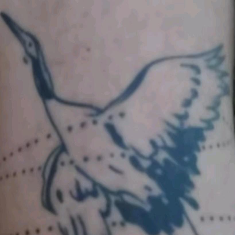 《hao》郝，起来