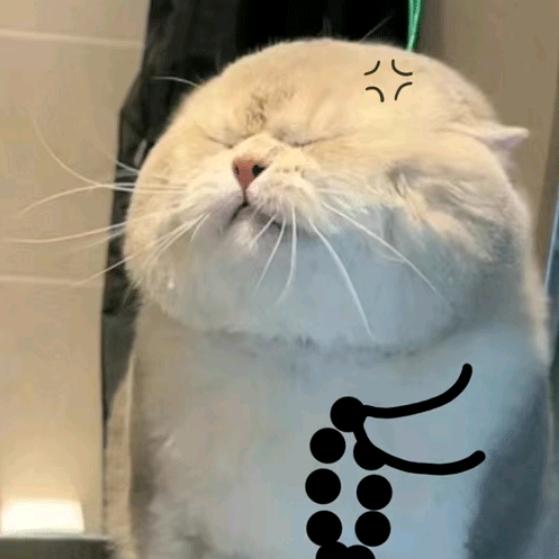 虎虎生风