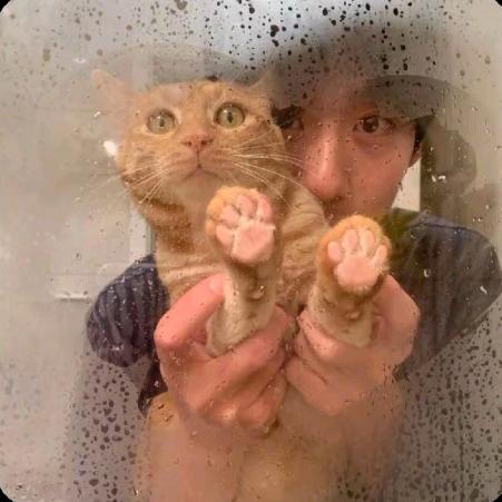 不是哼