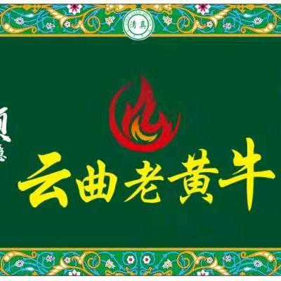 云曲老黄牛批发