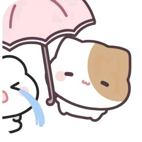 派大轩 zz