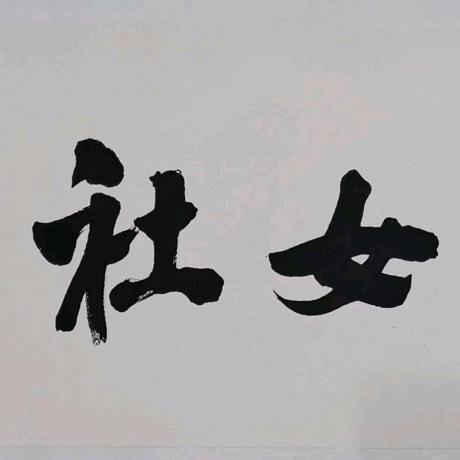 醒来女社