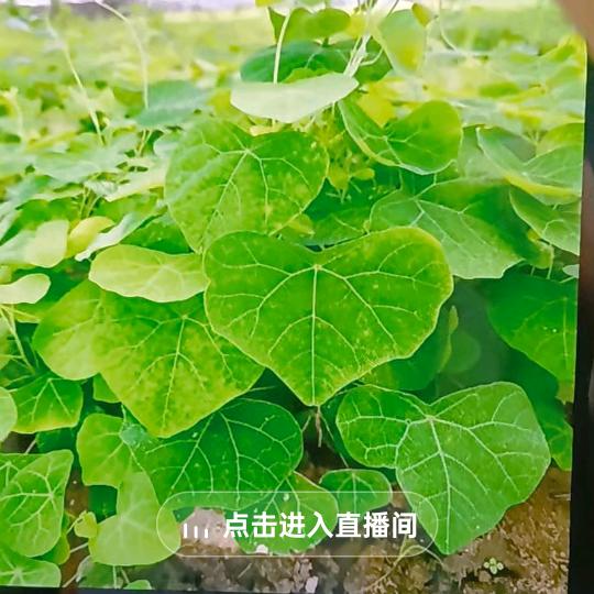伴你入梦