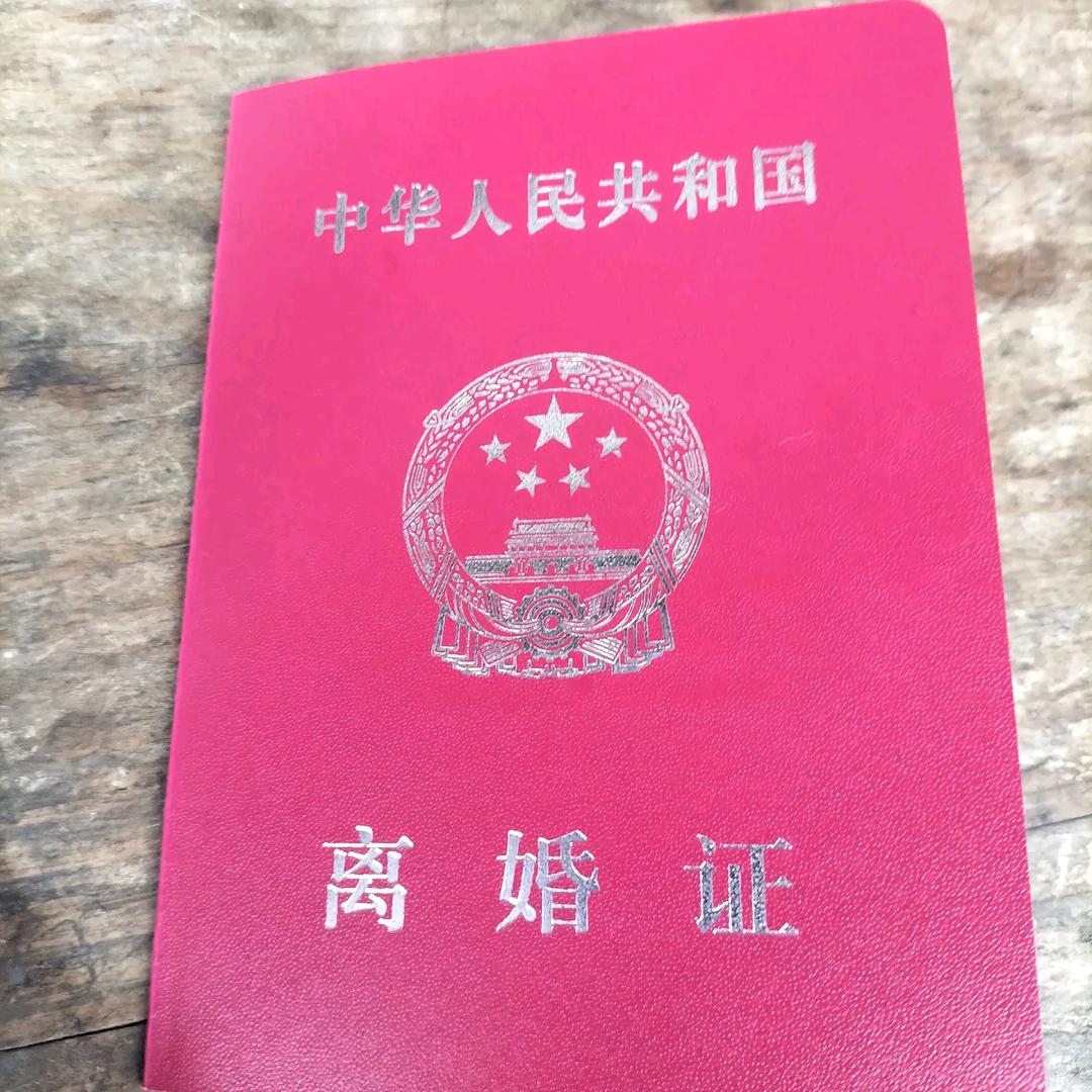 单身阿军带两娃