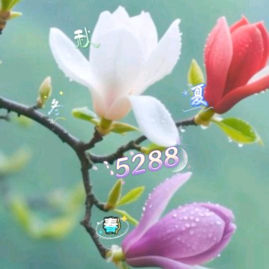 💫萅夓秌鼕🌱💞