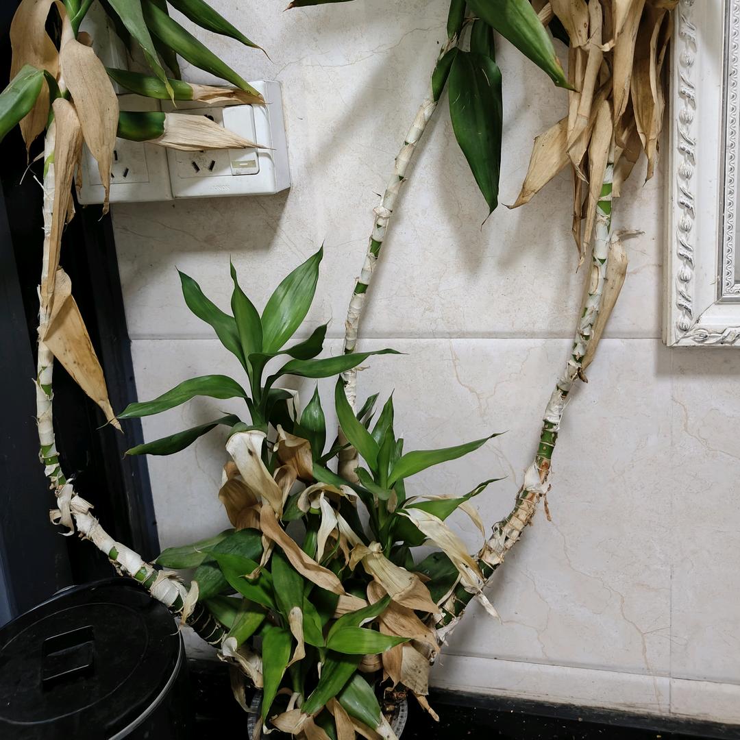 繁星春水💤💋