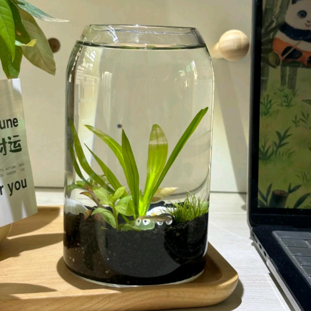 峰生水起