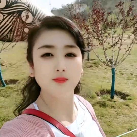 💕春天的花朵🌺孙68年🐵