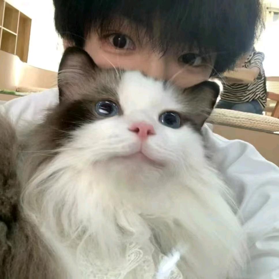 南白
