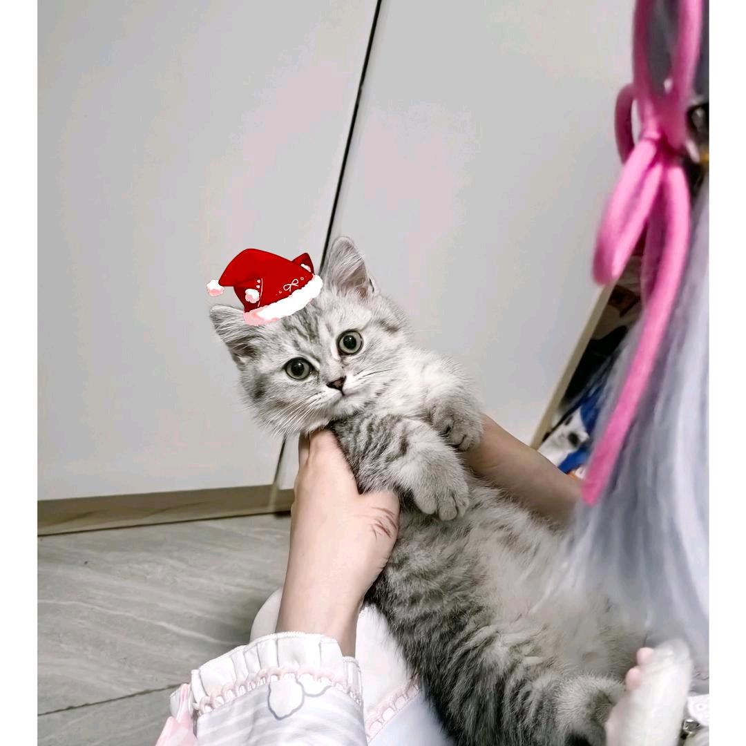 小初不bb.“🏳️‍🌈