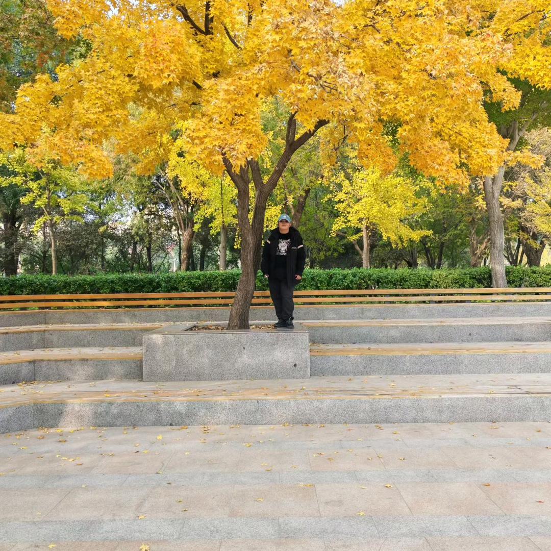 熙子的真实日常生活