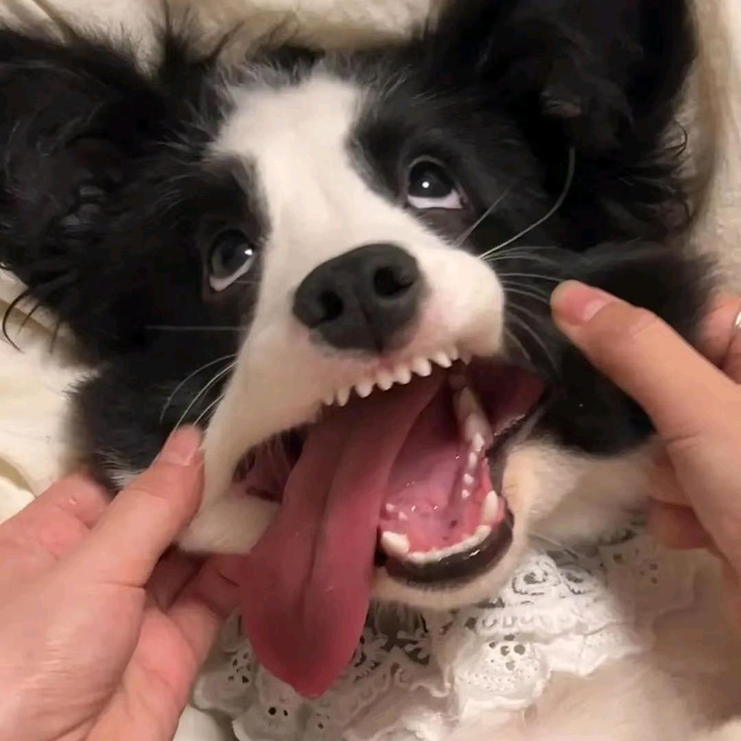 大知闲闲