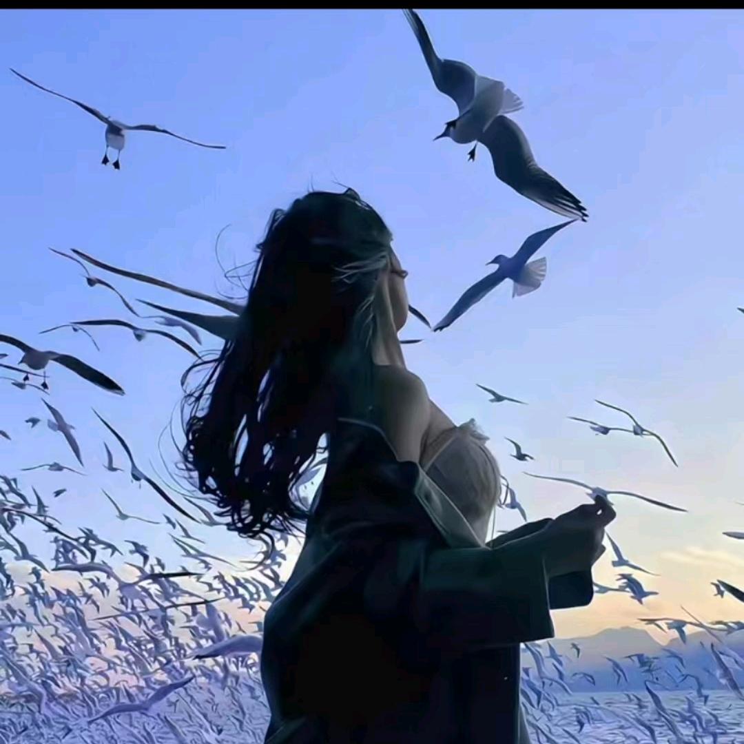 情宝-  天龙八部手游