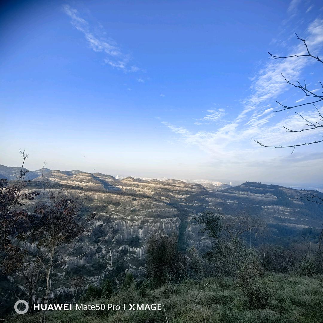 张老师（小号）