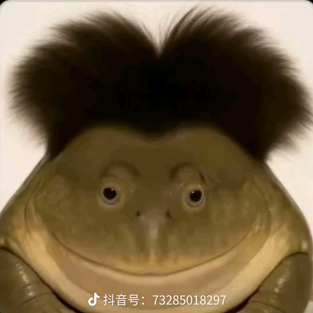重案组之虎