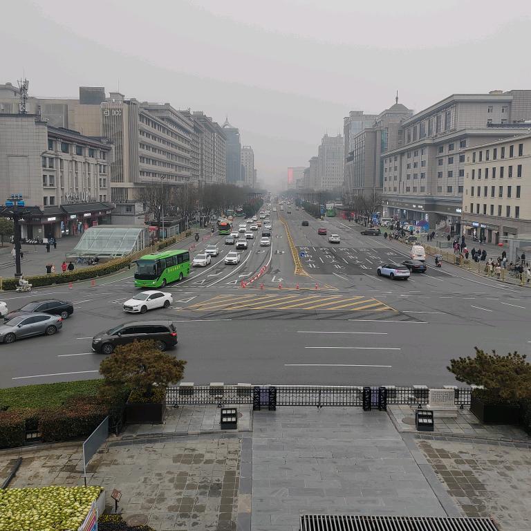 杨海朝