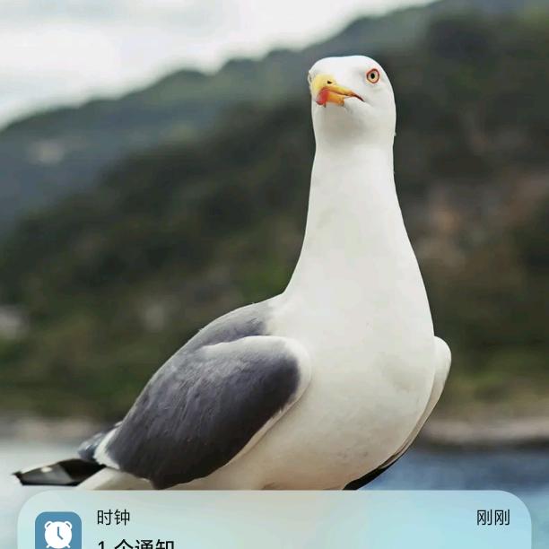 向阳而生