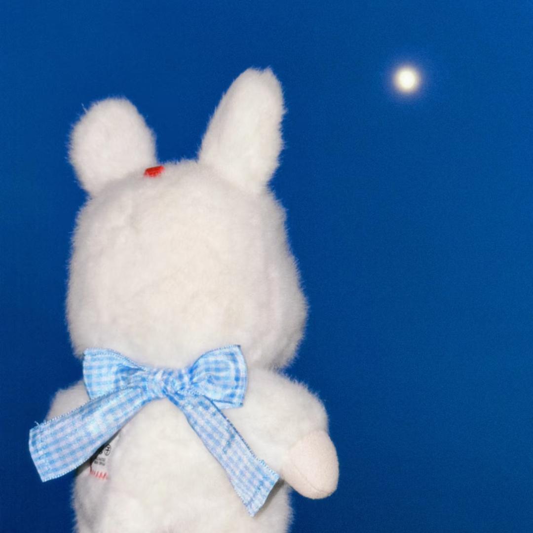 小兔理查德