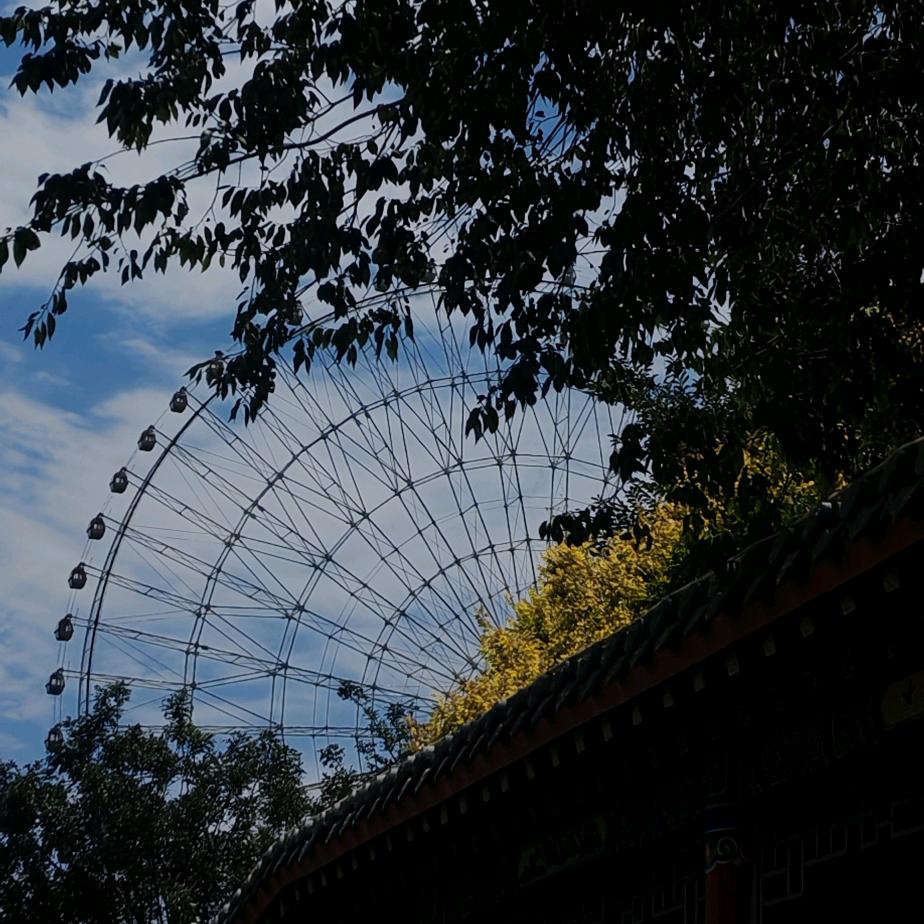 奶盖泡泡