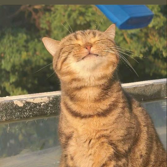 玫瑰女人🌹🌹🌹