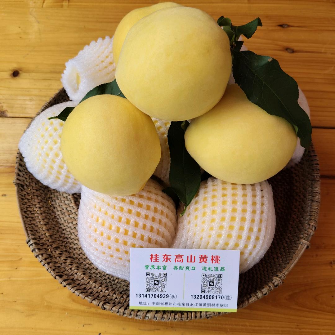 桂东黄桃