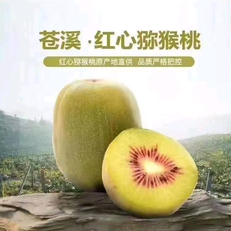 没得网名