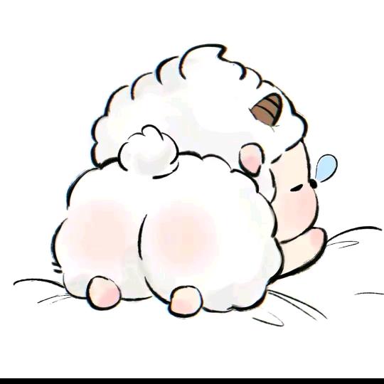小羊🐑.