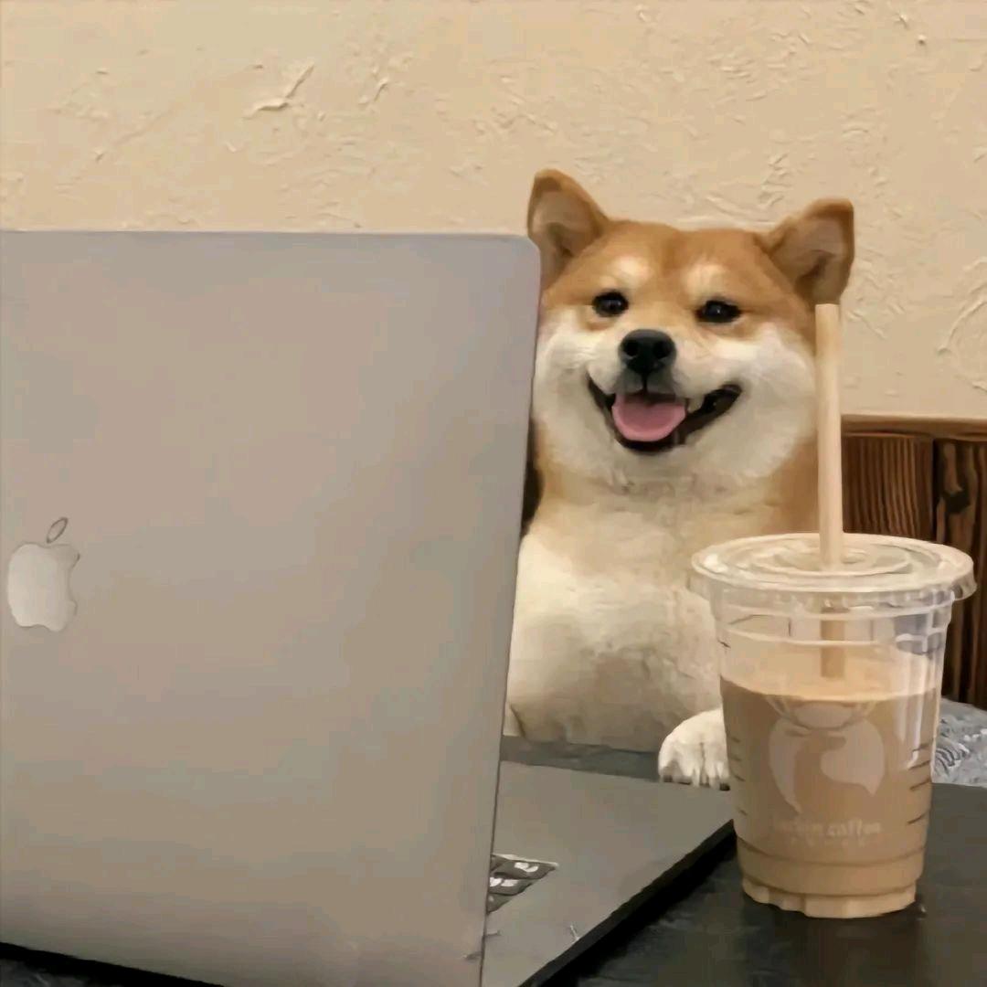 白鹤