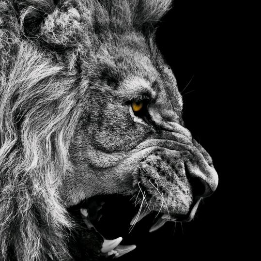 项城市般权生活用品馆（个体工商户）