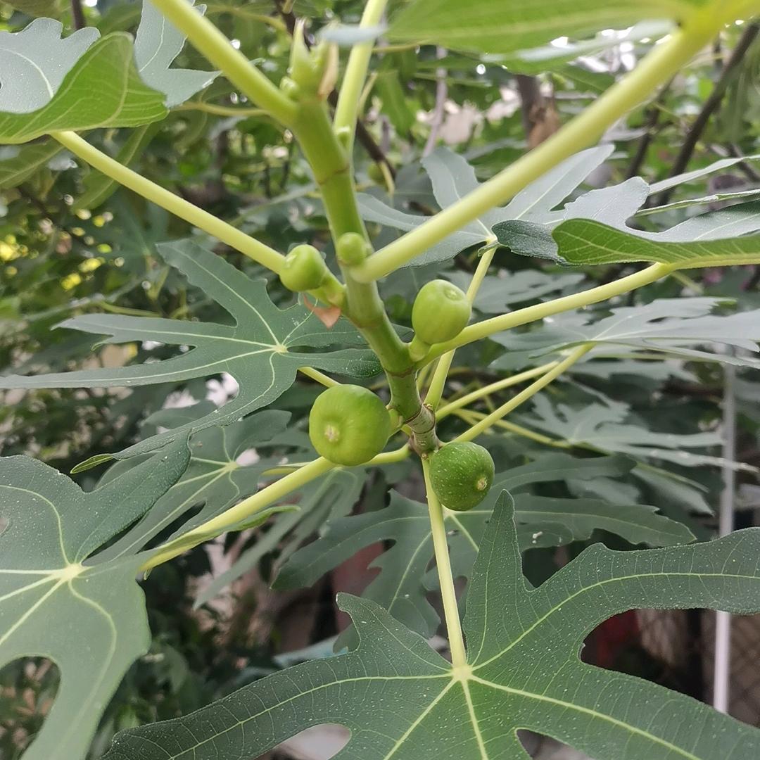 易活力满满🐒🐀