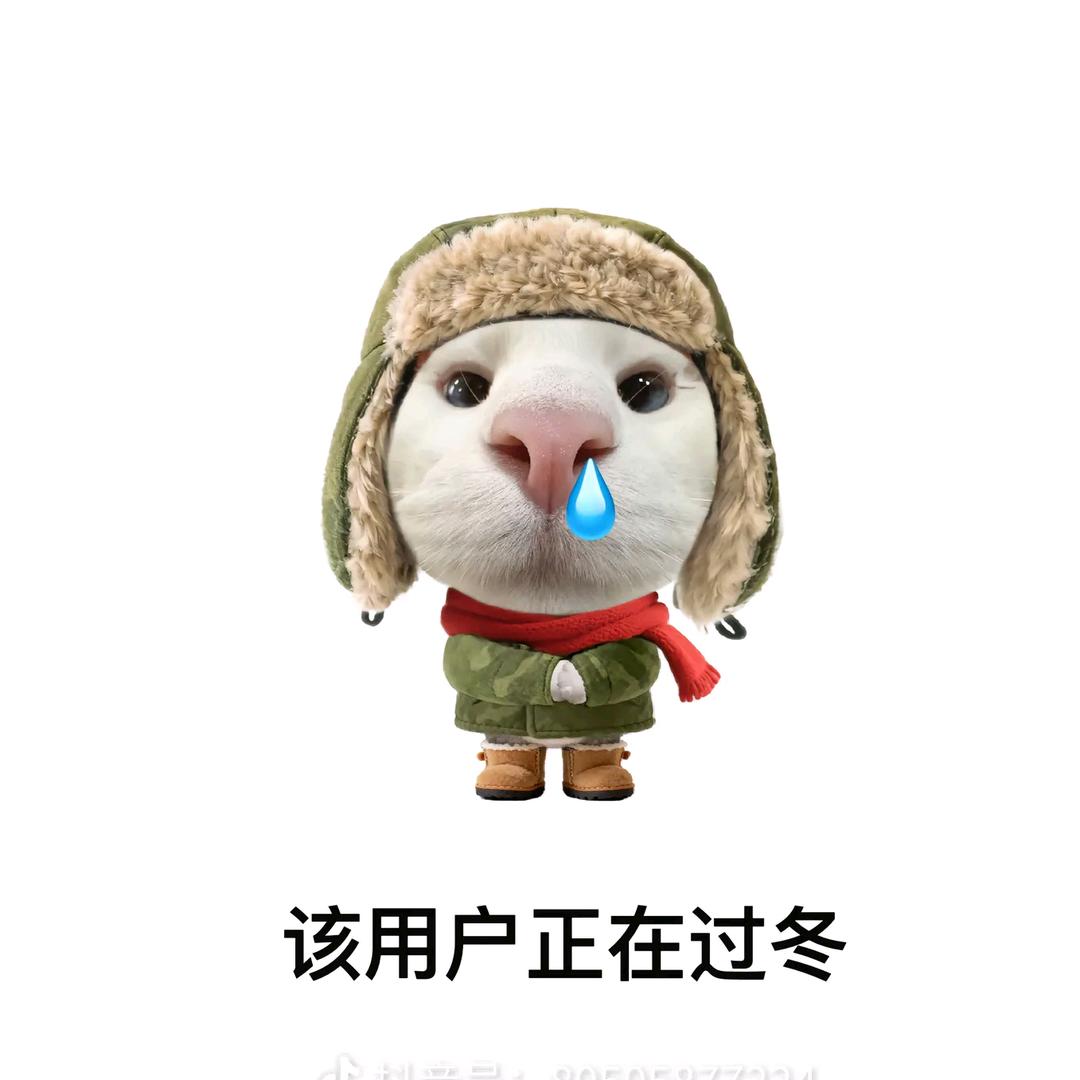 该用户正在过冬