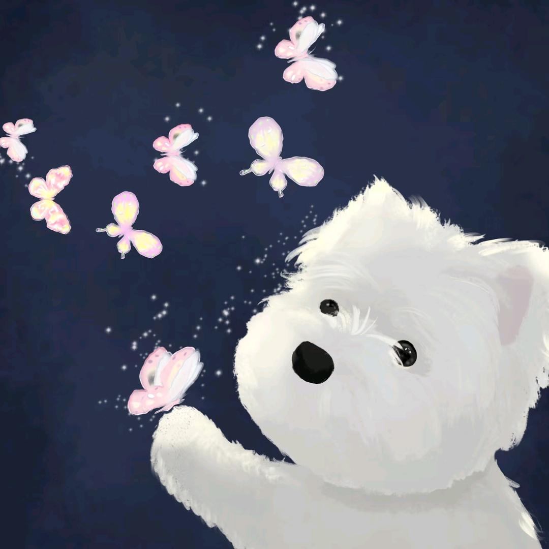 成都伴屿萌宠社西高地