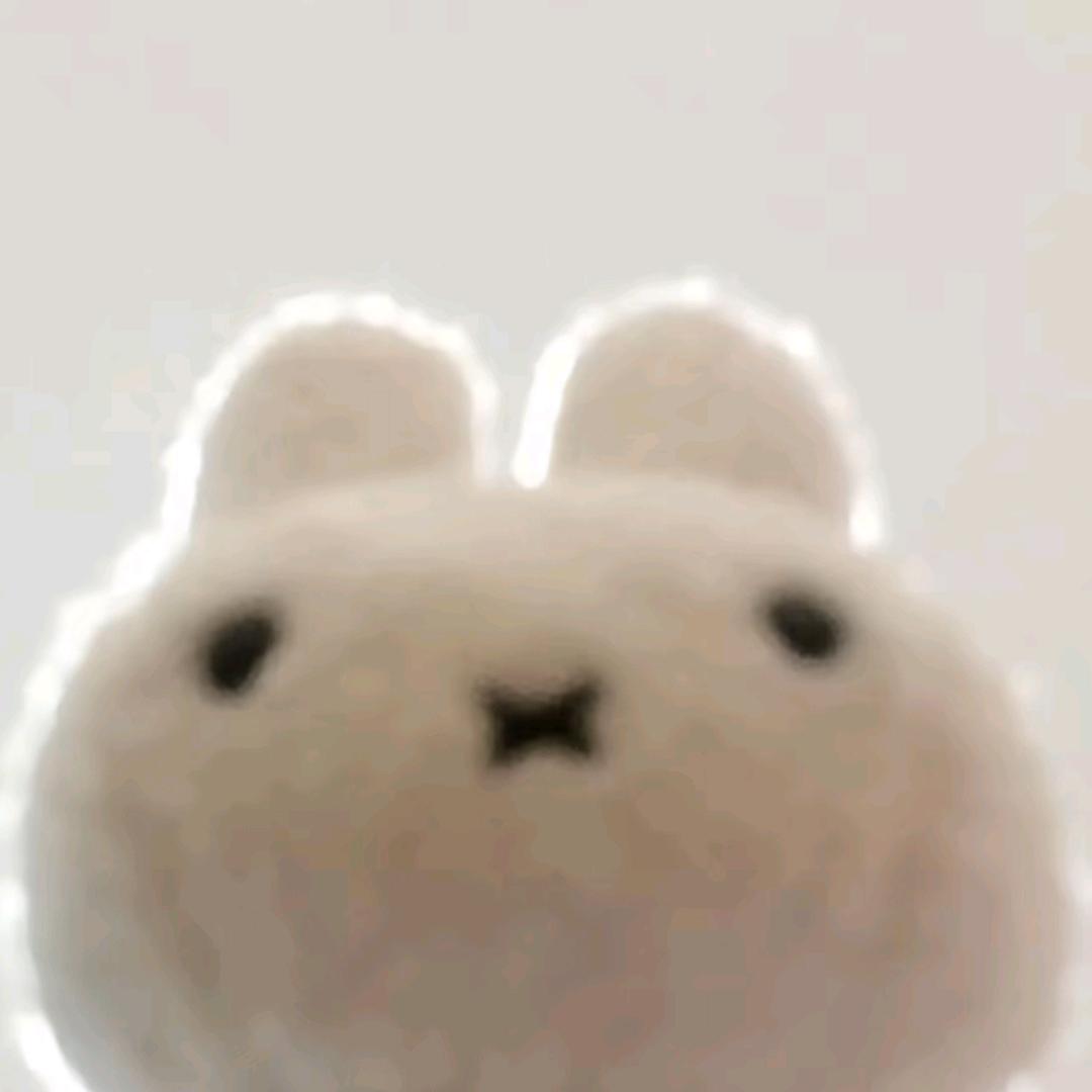 桑葚
