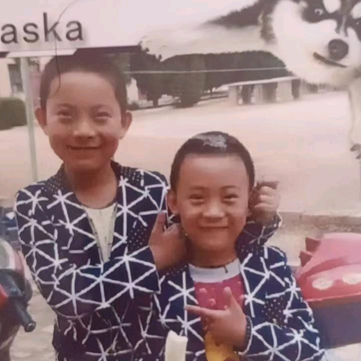静疆雪梅