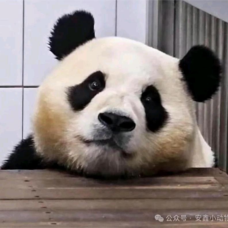 告别从前，过好当下
