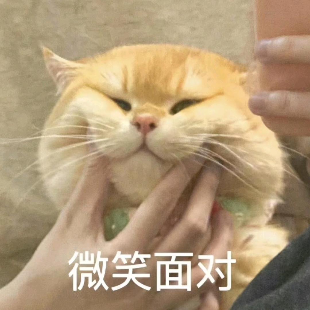 疯了的牛马