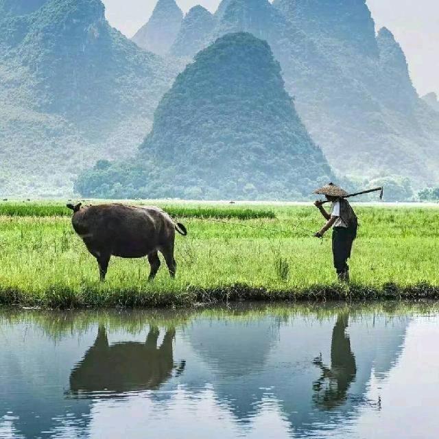 赤牛